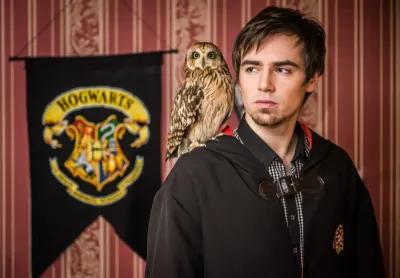 HARRY AND THE LAST HORCRUX poster5