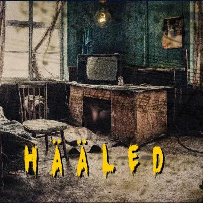 Hääled poster1